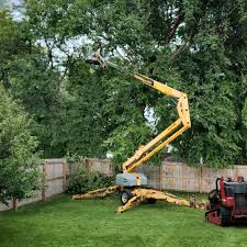 Best Sod Installation  in Maple Glen, PA